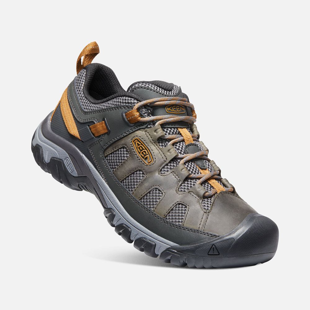 Keen Outdoor Ayakkabı Erkek Siyah Kahverengi - Targhee Vent - Türkiye GRZD92607